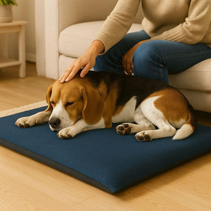 Fleece Pet Mat Washable Dog & Cat Bed – Super Soft Pet Cushion | Night Zone