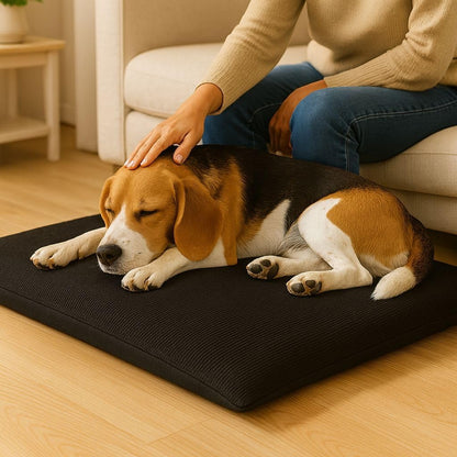Fleece Pet Mat Washable Dog & Cat Bed – Super Soft Pet Cushion | Night Zone