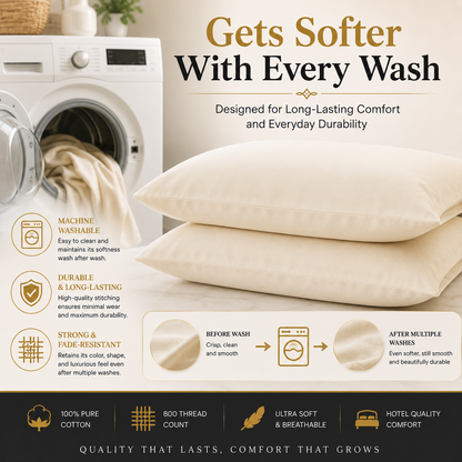 800 Thread Count Egyptian Cotton Pillow Cases – Luxury Hotel Quality Bedding | Night Zone