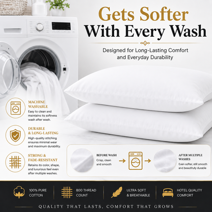 800 Thread Count Egyptian Cotton Pillow Cases – Luxury Hotel Quality Bedding | Night Zone
