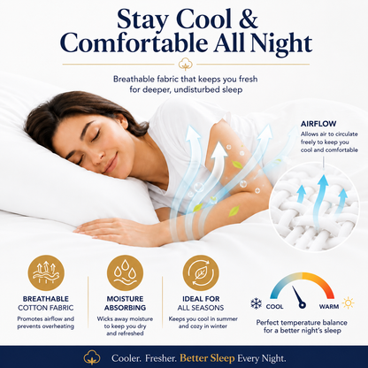 200 Thread Count Egyptian Cotton Pillowcases Pair – Hotel Quality Bedding | Night Zone