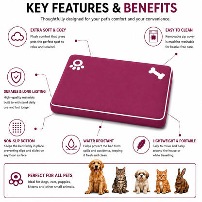 Bone & Paw Print Washable Pet Bed for Dogs and Cats Soft 100% Polyester Sleeping Cushion with Removable Zipper