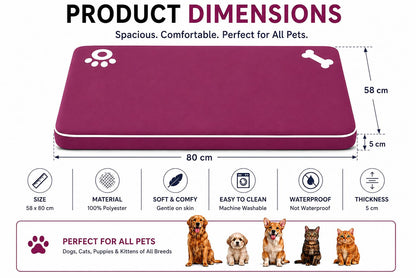 Bone & Paw Print Washable Pet Bed for Dogs and Cats Soft 100% Polyester Sleeping Cushion with Removable Zipper