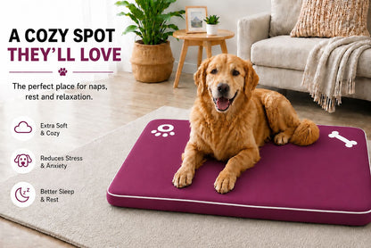 Bone & Paw Print Washable Pet Bed for Dogs and Cats Soft 100% Polyester Sleeping Cushion with Removable Zipper